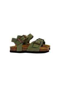 PLAKTON LOUIS - Chaussures premiers pas - olive