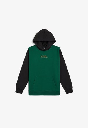 Džemperis su gobtuvu - emerald envy colour block