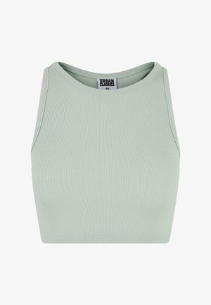 Lichtgroen geribbeld crop top met een ronde halslijn en mouwloos ontwerp. De stof heeft een soepele textuur en een aansluitende pasvorm.