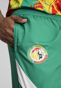 Zaļie sporta šorti ar balto diagonālo akcentu, teksturētu audumu un logotipu ar lauva motīvu sarkanā, dzeltenā un melnā krāsā.