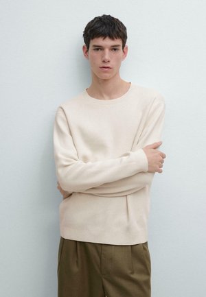 CREW NECK SWEATER  - Maglione - beige