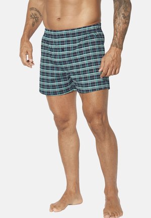 Men's plaid swim shorts featuring a blue and green check pattern on a dark background, elastic waistband, and a loose fit.