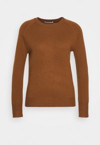 Brauner gestrickter Pullover mit langen Ärmeln, rundem Ausschnitt, gerippten Bündchen und Saum, glatter Textur und einem schlichten, klassischen Design.