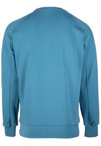 Lichtblauwe sweatshirt met een ronde hals, lange raglanmouwen, ribgebreide manchetten en onderrand, met een gladde textuur en zonder zichtbare patronen.
