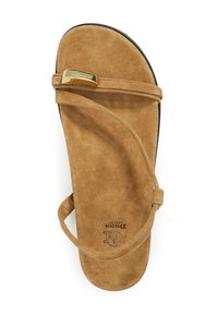 Brown suede flip-flop sandal with a minimalist design. Features a gold-tone accent and thin straps, soft texture on a curved footbed.