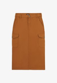 Sélectionné, brown duck