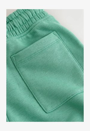 Miętowe zielone spodnie dresowe z elastycznym pasem. Posiadają prostokątną kieszeń z tyłu oraz miękki, teksturowany materiał.