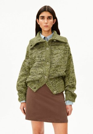 Vrouw die een groene gebreide cardigan met knopen draagt over een blauwe blouse met kraag en een bruine rok, staand tegen een effen witte achtergrond.