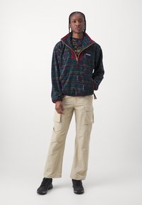 Columbia SEQUOIA GROVE™ HALF ZIP - Sweat polaire - collegiate navy horizons