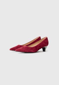 Red suede low-heeled pumps with a pointed toe design. Features a textured upper and a small metallic accent at the heel.