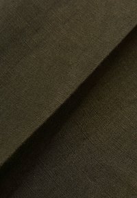 Oscar Jacobson DENZ  - Chino - green leaf