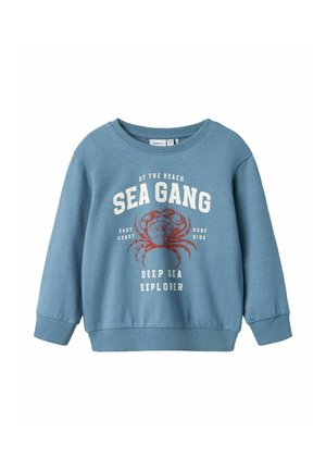 REGULAR FIT - Mikina - spring lake