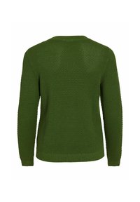 VILA VIDALO O-NECK - Stickad tröja - cactus