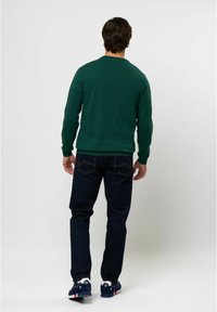 U.S. Polo Assn. ADAIR - Pulover - rain forest