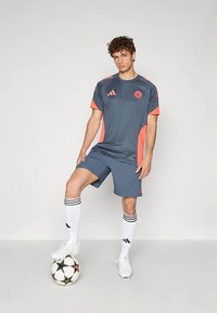 Szürke sportmez narancssárga részletekkel, hozzá illő rövidnadrággal. A játékos fehér zoknit visel fekete csíkokkal és fehér stoplis cipőt, kezében focilabdával.