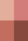 Colore (1)