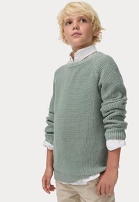 Maglione verde lavorato a maglia con un motivo testurizzato, scollatura a girocollo, orlo e polsini a coste, indossato sopra una camicia bianca con colletto.