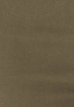 Damart 7/8ÈME SLIM PERFECT FIT LIGHT - Pantalon classique - kaki