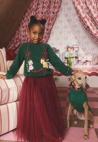 Pull vert en tricot avec broderie sur le thème des fêtes, associé à une jupe en tulle bordeaux. Un lévrier portant un pull vert assorti se tient à proximité.