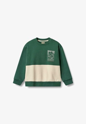 Zaļš džemperis ar krēmīgu horizontālu paneli, ar grafisku apdruku augšējā kreisajā stūrī. Izgatavots no mīksta auduma ar ribotiem piedurkņu galiem.