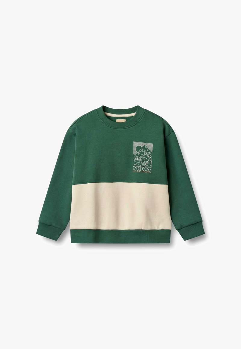 Sweatshirt vert avec un panneau horizontal crème, arborant une impression graphique en haut à gauche. Fabriqué en tissu doux avec des poignets côtelés.