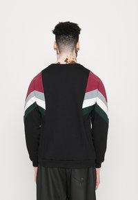 Persona con cabello rizado de espaldas, vistiendo un sudadera negra con franjas en forma de chevron en color burdeos, gris, blanco y verde oscuro en las mangas.