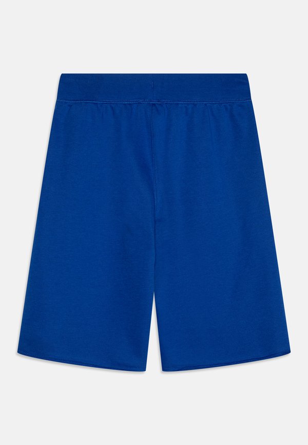 BASKETBALL INSPIRED - Tracksuit bottoms - bai3