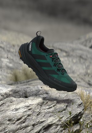 Chaussure de randonnée verte et noire avec semelle et lacets noirs flottant au-dessus d'un terrain rocheux avec de petites plantes et un arrière-plan flou.