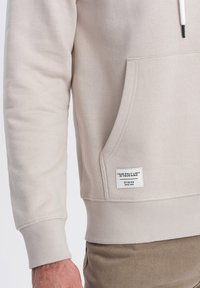 Ombre Felpa con cappuccio - light grey