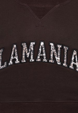 Litrikadest tähed, mis moodustavad sõna "ALLAMANIAN" kaares tumedalpruunil kangal, kus on nähtavad õmblused kaeluses ja ääres.