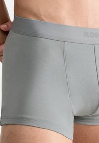 Gray cotton boxer shorts feature a snug fit, smooth texture, and a logoed elastic waistband. Seam detailing is visible on the sides.