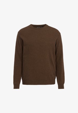 Bruine wollen trui met een ronde hals, lange mouwen en geribde boorden en zoom. Gladde textuur zonder zichtbare patronen of accenten.