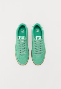 Paire de baskets en daim vert menthe avec des lacets vert clair et des semelles couleur gomme, vues de dessus sur un fond blanc.