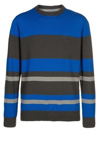 DC Shoes MARBLE ARCH - Jumper - nautical blue