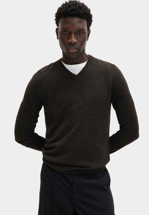 Uomo con le mani incrociate che indossa un maglione a scollo a V marrone scuro sopra una camicia bianca e pantaloni scuri, su sfondo chiaro uniforme.