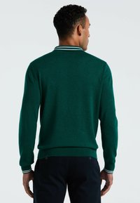 Grüner gestrickter Pullover mit langen Ärmeln und einem gerippten Kragen, der weiße Streifen aufweist, sowie eng anliegenden Bündchen und strukturierter Textur. Rückansicht dargestellt.