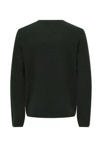 Maglione lavorato a maglia verde scuro, con collo a girocollo, maniche lunghe, tessuto testurizzato e polsini e orlo a coste. Vista posteriore semplice.