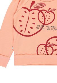 Felpa color pesca con stampe grafiche di mele rosse e testo. Caratterizzata da orlo e polsini a costine, texture morbida e maniche raglan.