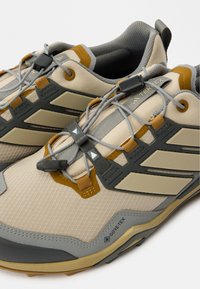 Bežīgi pārgājienu apavi ar pelēkiem akcentiem, teksturētu virsu un GORE-TEX zīmolu. Ietver elastīgas šņores un pastiprinātu purngali.