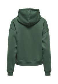 Sweat à capuche vert foncé à manches longues, avec poignets côtelés, sans logos ni motifs visibles à l'arrière.