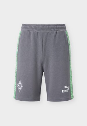 Puma, BORUSSIA MÖNCHENGLADBACH FTBLKING SHORTS - Klubruházat - grey/green