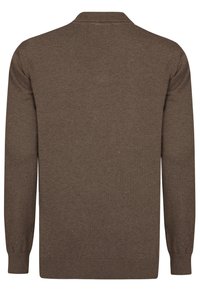 Brun strikket sweater, lange ærmer, rund krave, ribbede manchetter og kant, glat tekstur, enkelt design, vist fra ryggen.