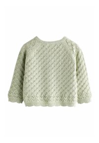 Next POINTELLE REGULAR FIT - Cardigan - sage green