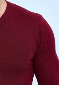 Pull en maille bordeaux avec un design à col en V, silhouette ajustée, texture lisse et détails côtelés au niveau du col et des poignets.
