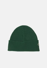 Green ribbed knit beanie with a rolled brim and a small logo patch on the side. Soft texture and close-fitting design.