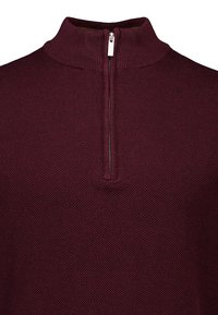 Pullover bordeaux con collo a zip, tessuto a maglia testurizzato, colletto in piedi, pull in argento, con orlo e colletto a coste.