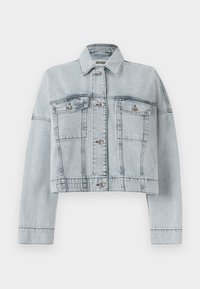 HOLBROOKS - Džínová bunda - grey