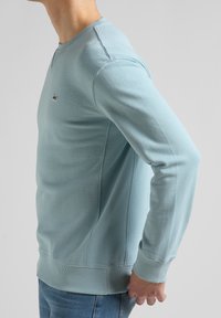 Felpa azzurro chiaro con scollo rotondo, polsini e orlo a coste, caratterizzata da un piccolo logo sul petto e tessuto morbido e strutturato.