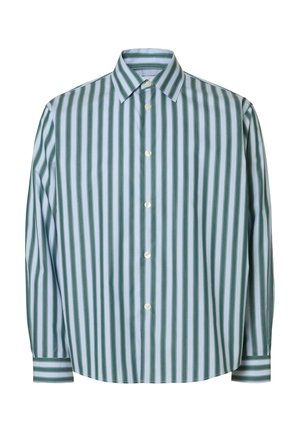 Camicia a righe con bottoni che presenta righe verticali alternate di azzurro chiaro e verde scuro, un colletto classico e maniche lunghe con polsini coordinati.