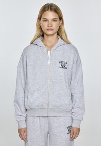 Harmaa vetoketjuhuppari pehmeästä kankaasta, jossa on huppu. Mukana sivutaskut ja etupuolella rinnan kohdalla musta logo "BIGSTAR DNM CLUB".
